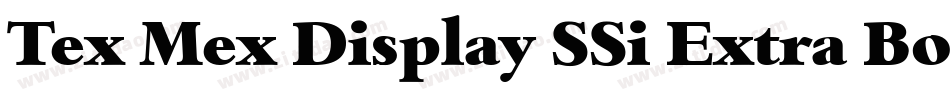 Tex Mex Display SSi Extra Bold字体转换